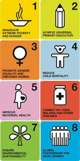 The UN Millenium Development Goals