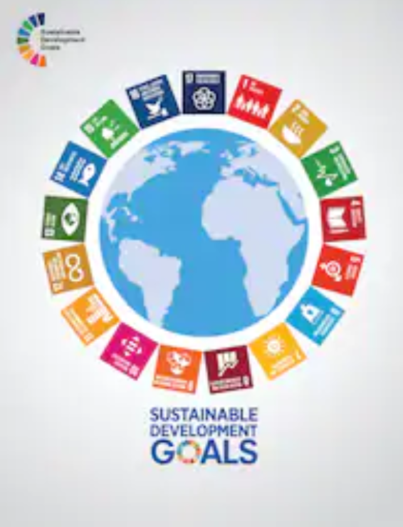 The SDGs are interconnected and there is overlap between SDG 13: Climate action and SDG 9: Industry, Innovation and Infrastructure. In particular, SDG target 9.4: Upgrade infrastructure and retrofit industries to make them sustainable, with increased resource-use efficiency and greater adoption of clean and environmentally sound technologies and industrial processes. Air connectivity has an effect on SDG 13, through its effect on indicator 9.4.1 (CO2 reduction) (Image credit: Shutterstock)