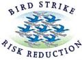 Bird Strike Logo