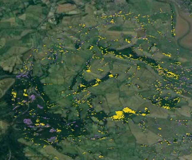 Extract from Rezatec's interactive web GIS Portal depicting the entire area of interest in the study for identification of two tree species ©Rezatec