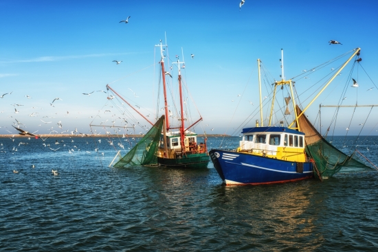 The information captured by Verifish is tied into the vessel position and delivers a ‘footprint’ on catch and handling information, including catch areas. (Image credit: Shutterstock)