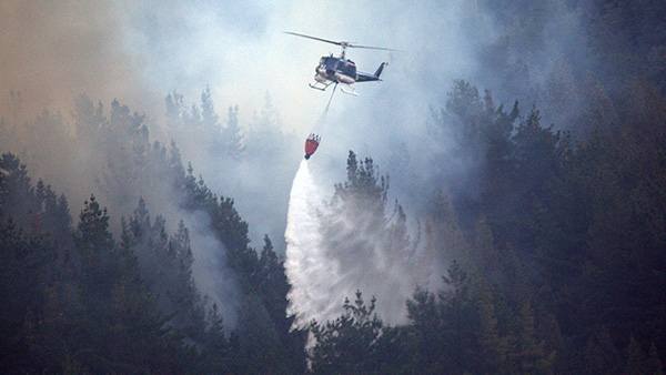 SmallGIS’ sensing system localises and track forest fires remotely, allowing for faster and more effective fire-response planning.  Image credit: Shutterstock