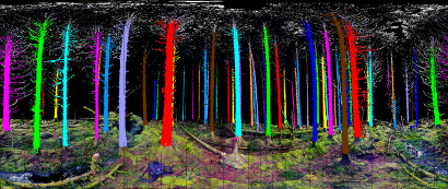 Tree scan classification