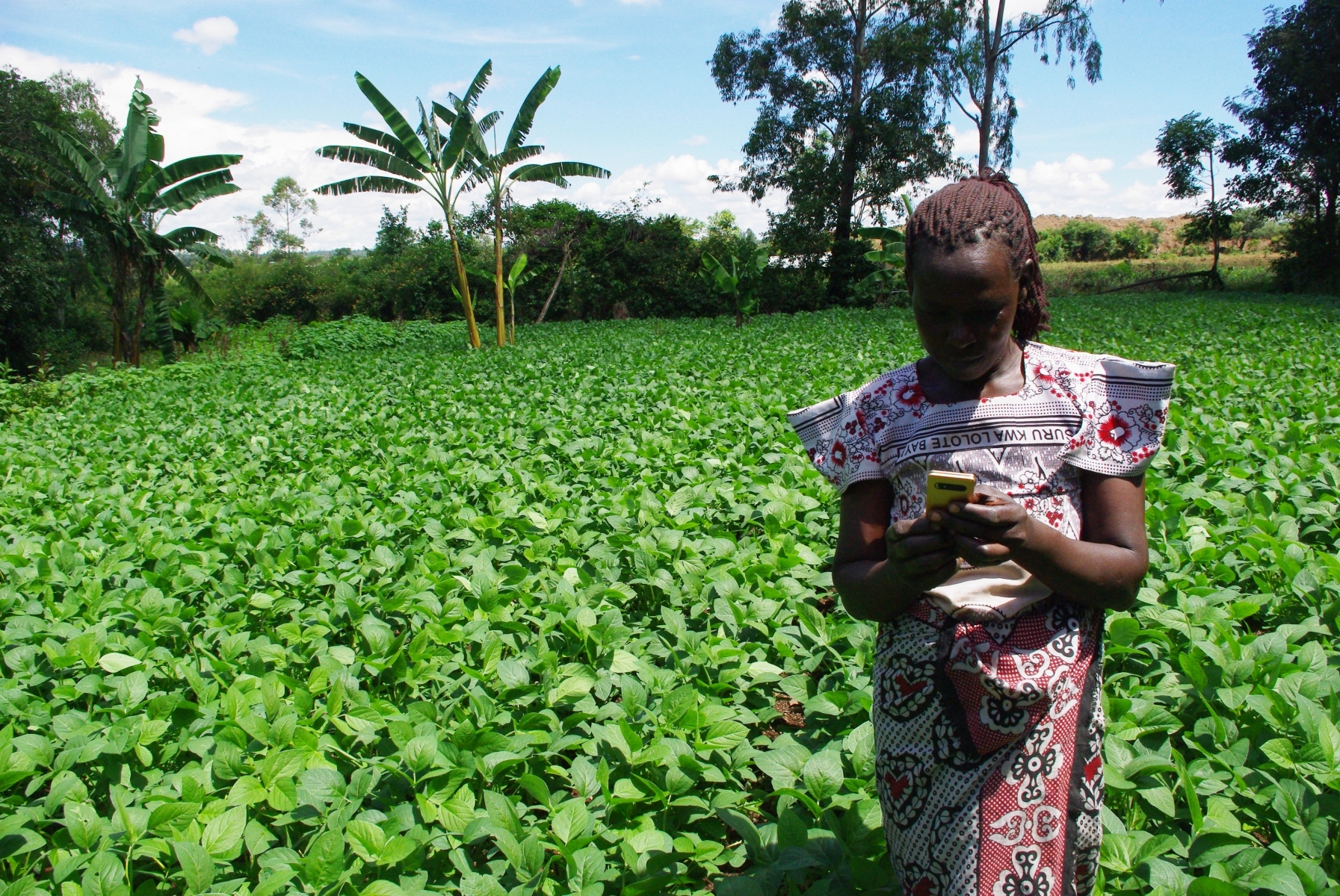 The future of agriculture in Africa depends on young technology-aware people, a fact agriBORA is taking seriously in their endeavours