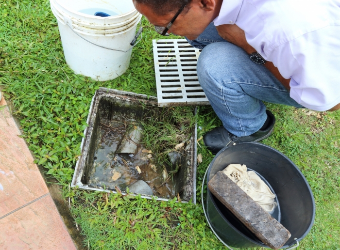 A Public Health entomologist checks for Aedes mosquito breeding sites in an urban area in Guadeloupe;  part of a dengue prevention program coordinated using VECMAP. Photograph: Aiva-GIS NV