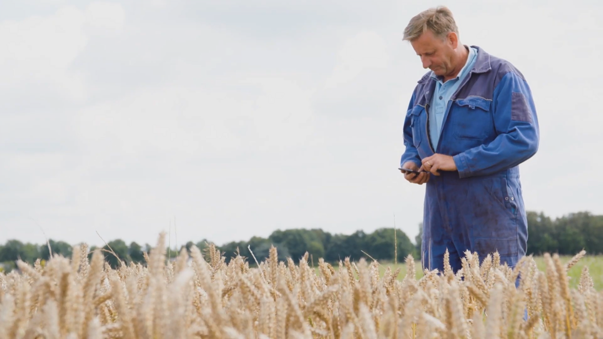 FieldScout offers farmers information where they need it most – in  the field. Credit: Bioscope