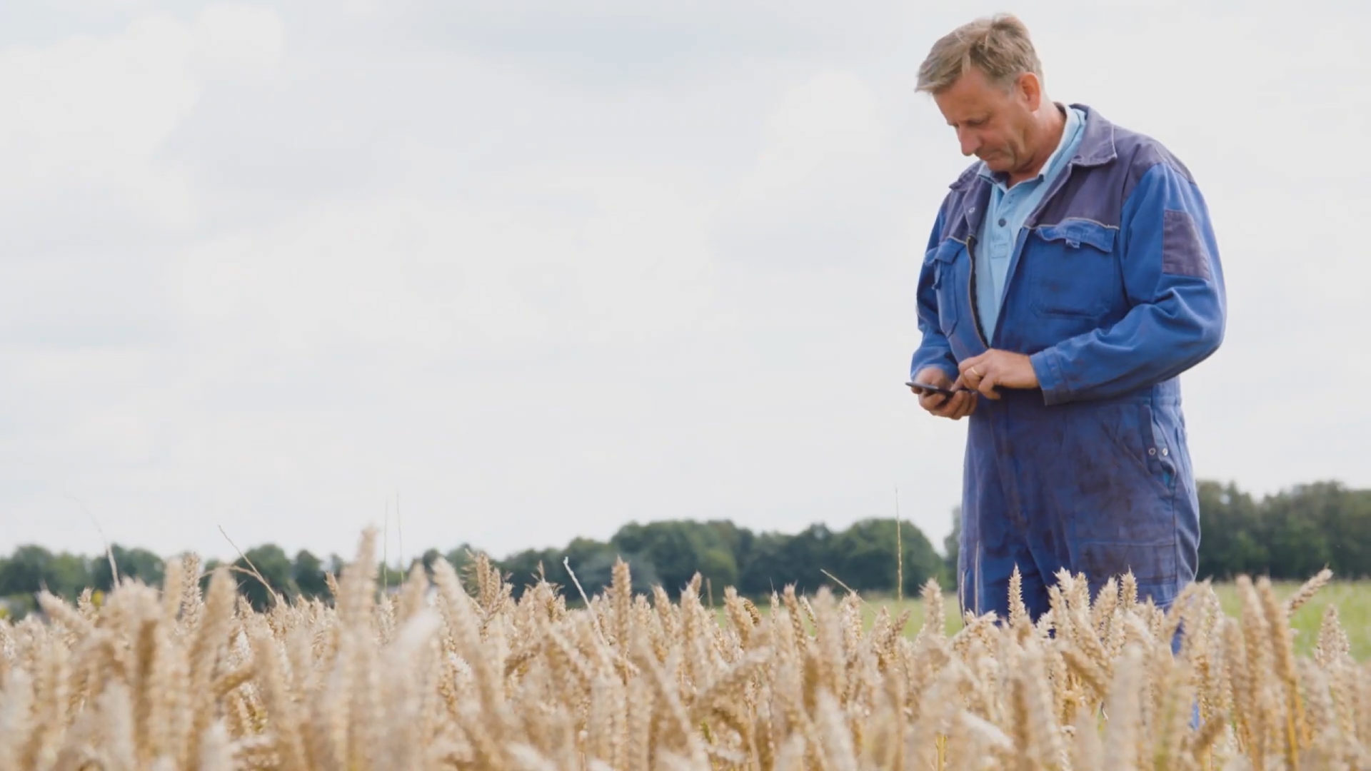 Farmers use smart farming app in the field to boost crop yields