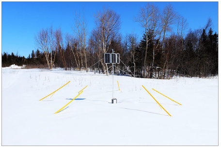 SnowSense snow station at the Millertown Dam, in the centre of Newfoundland, during moderate snow cover status  (Image credit: ANavS)