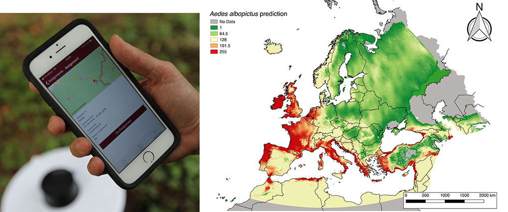Left image: A smartphone app used by field teams pinpoints pests and transfers data to a central database. Right image: Maps show the presence of pests; tracking them and the risks they pose. Photograph: Aiva-GIS NV