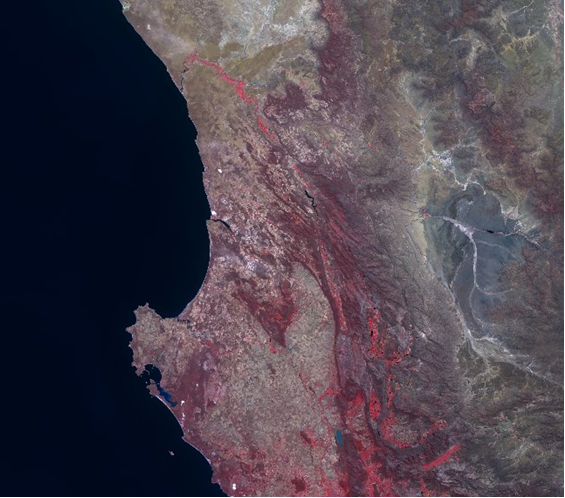 Western Cape Satellite Image