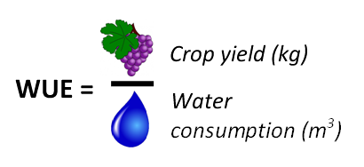 Water Use Equation