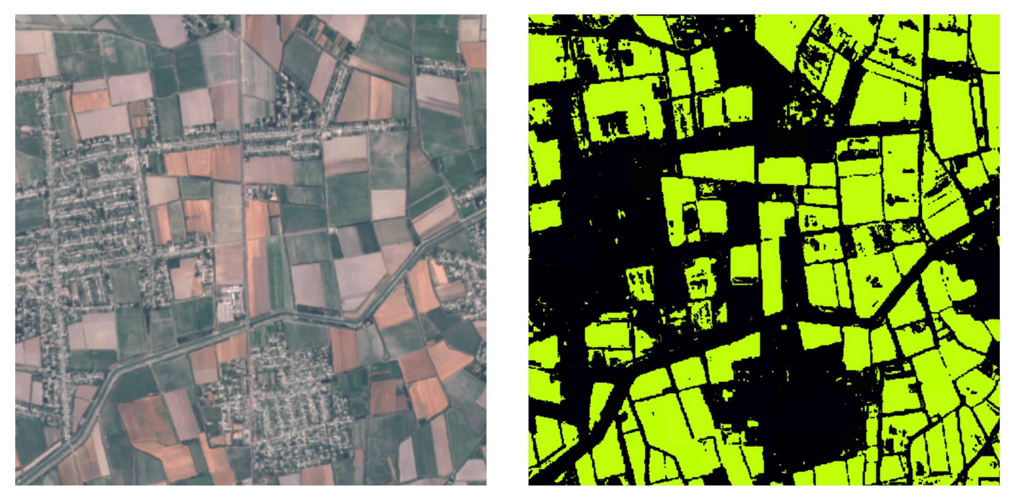 Identifying cropland from surrounding buildings and water. Left: A satellite image of a growing area in Uzbekistan. Right: CoCuRA automatically separates out cropland. Credit: Marple