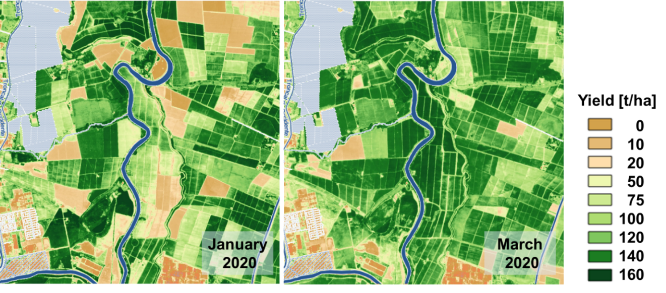 Figure 1. Forecasting sugarcane fields for January 2020 and March 2020