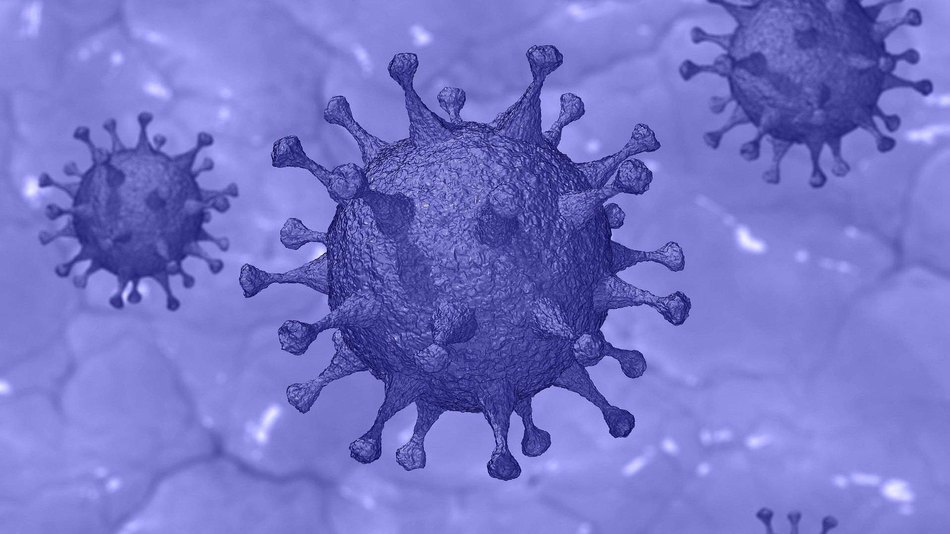 Coronavirus. Credit: ESA