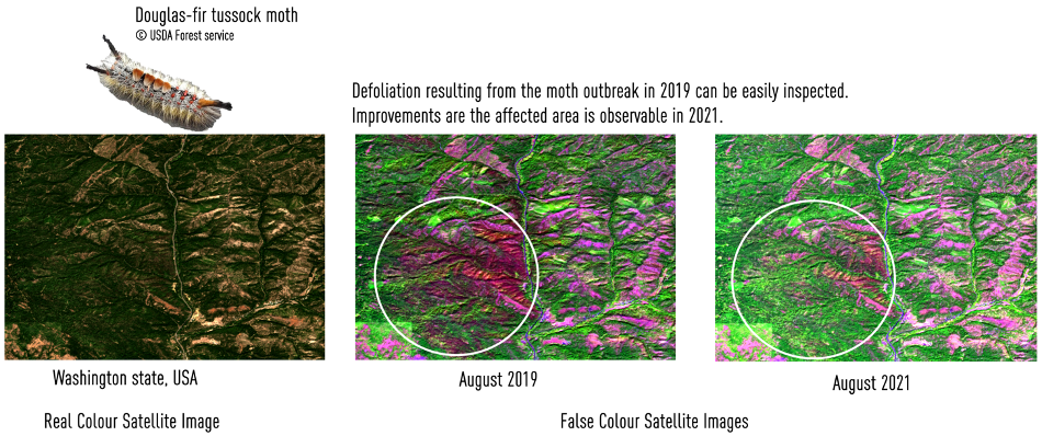 False colour from multispectral imagery supports large-scale forest surveys as shown over forests in North America (images©SPACEBEL)
