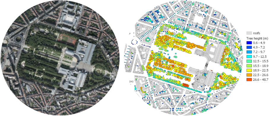 Tree detection and tree height shown for a European city (images©SPACEBEL)