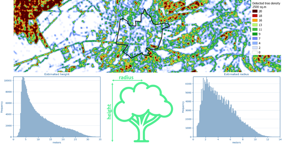 Tree detection and its density for a European city and its suburbs (images©SPACEBEL)