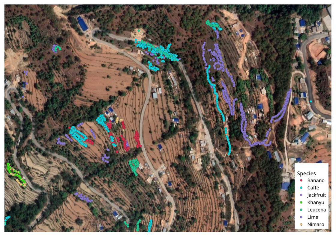 Figure 4. Close zoom to Nepal AOI tree species distribution.