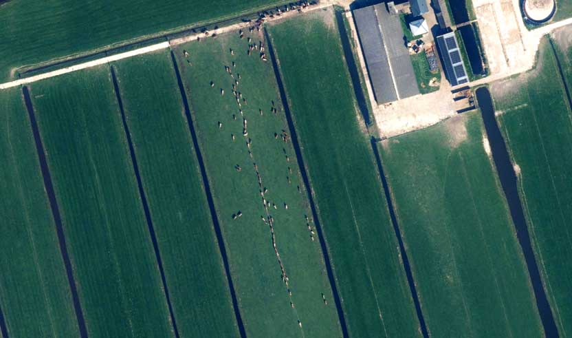 PDOK Luchtfoto
