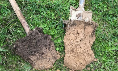 A soil sample with a darker top layer, indicating a high carbon content (left), compared to a soil sample with lower SOC content (right). Copyright: Soil Capital Farming (www.soilcapitalfarming.ag)