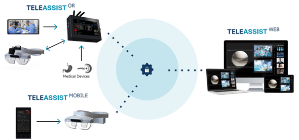 Teleassist service concept