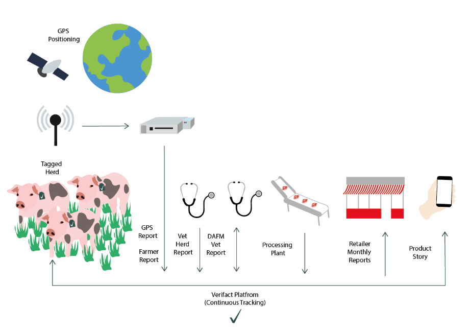 VLS service concept