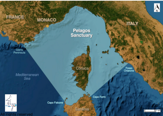 "Pelagos Sea Mammals Sanctuary"