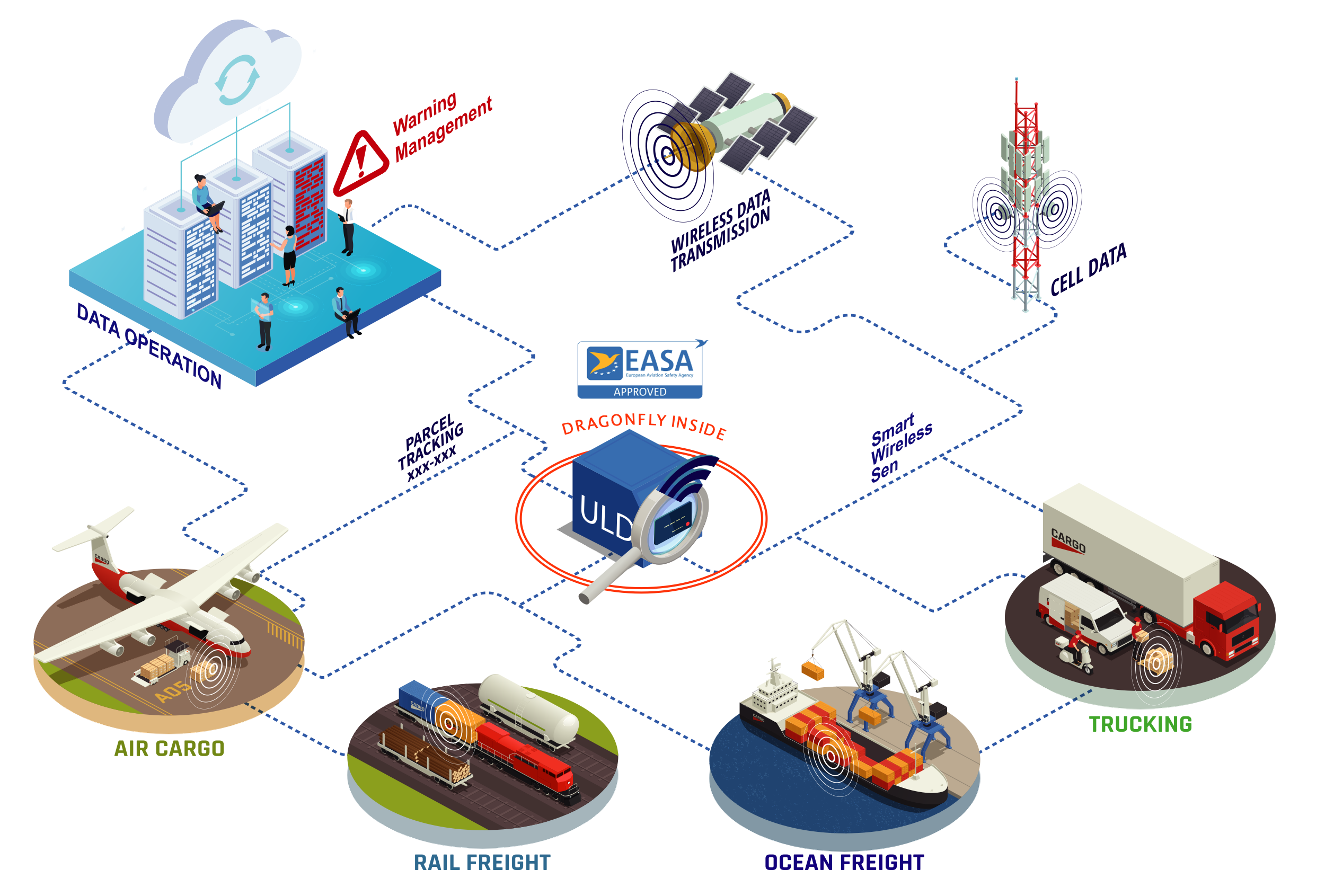 Integration of DRAGONFLY in the whole supply chain