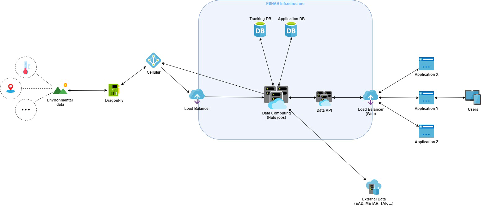 Architecture of the DRAGONFLY service