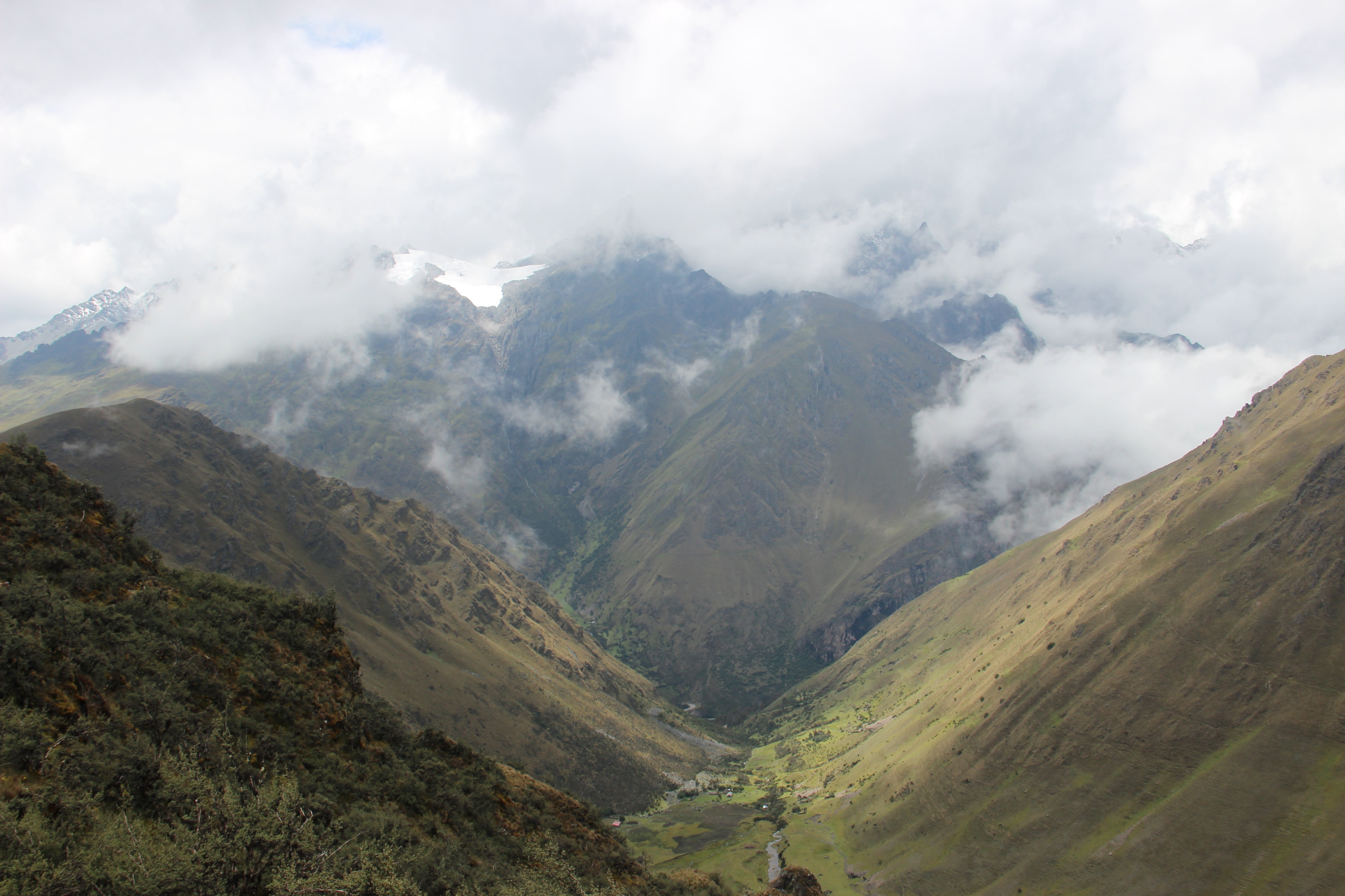 Image credit: Hajar Benelcadi, Project :HERMOSA, Peruvian Andes- Polylepis restoration site of ECOAN (https://www.ecoanperu.org/)
