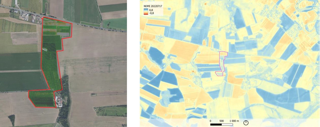 Topology of the Bříství farm (orthophoto) and The Normalized Difference Moisture Index