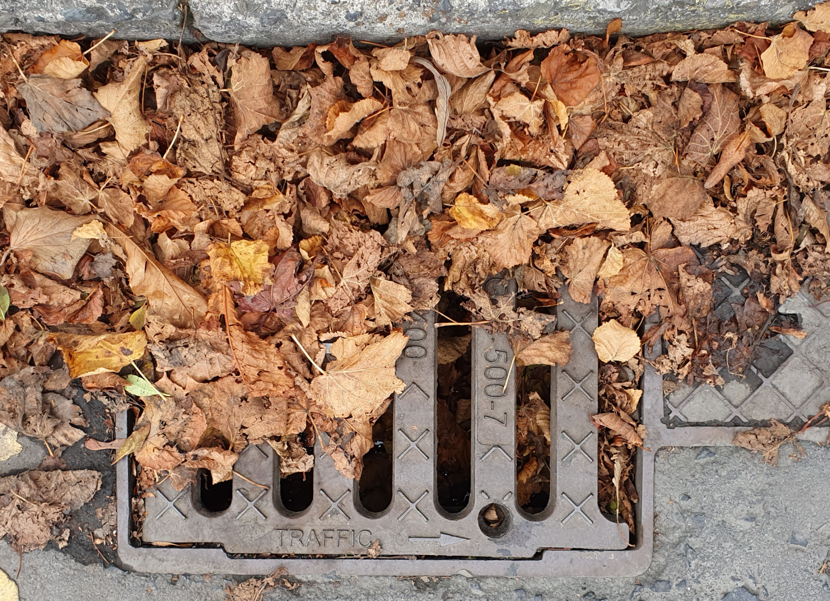 Image: A street gully, in May, where fallen leaves from the previous Autumn still represent a risk 