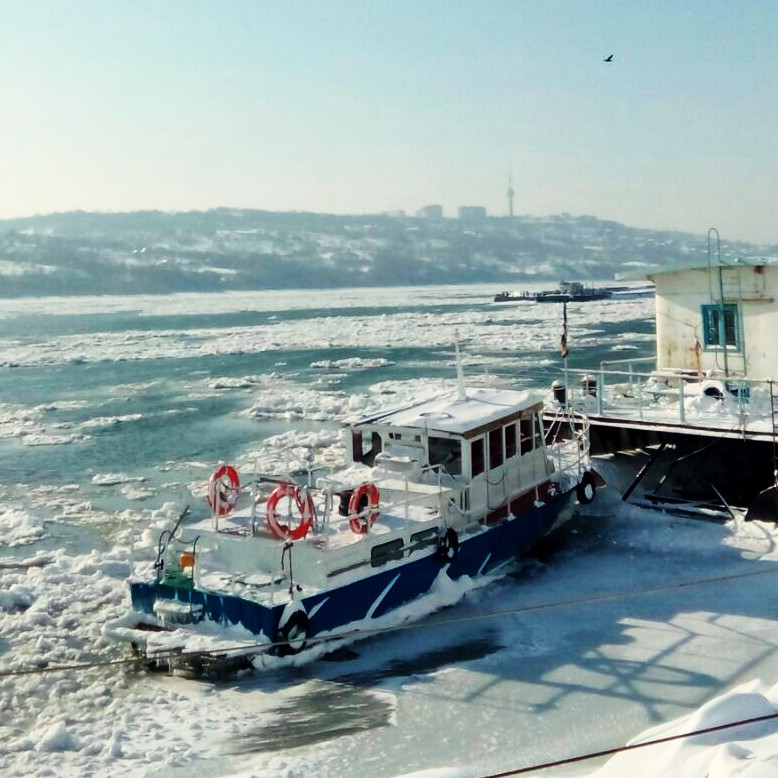 The frozen Danube