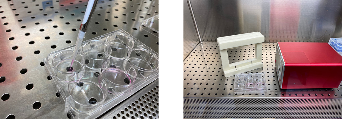 Experimental setup with cell culture plates and UVC source